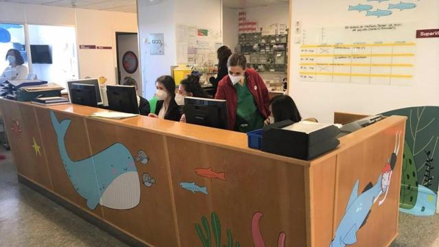 La Fundación María José Jove ilustra con murales la UCI pediátrica del Materno en A Coruña