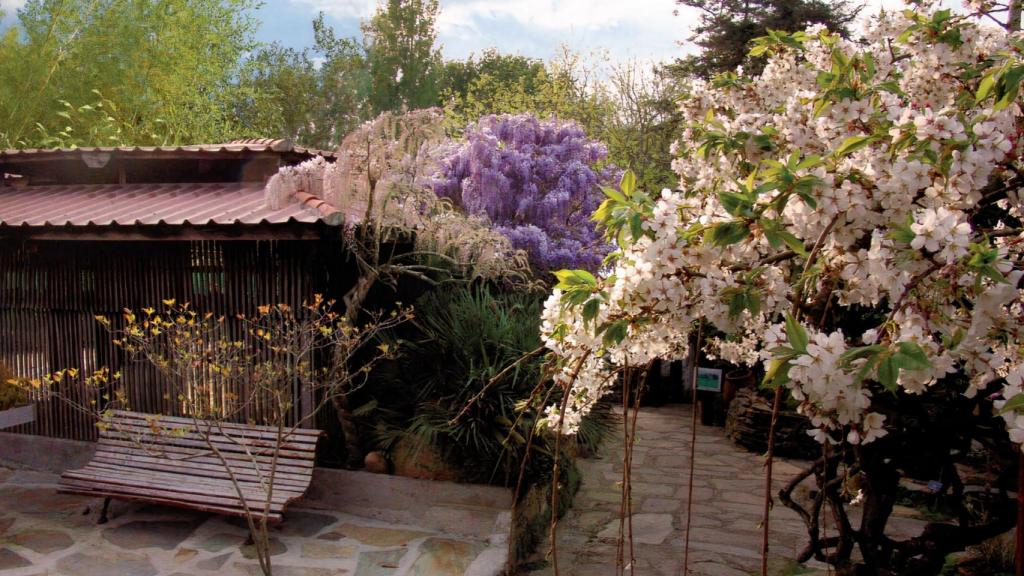 Jardín botánico Fundación Sales de Vigo