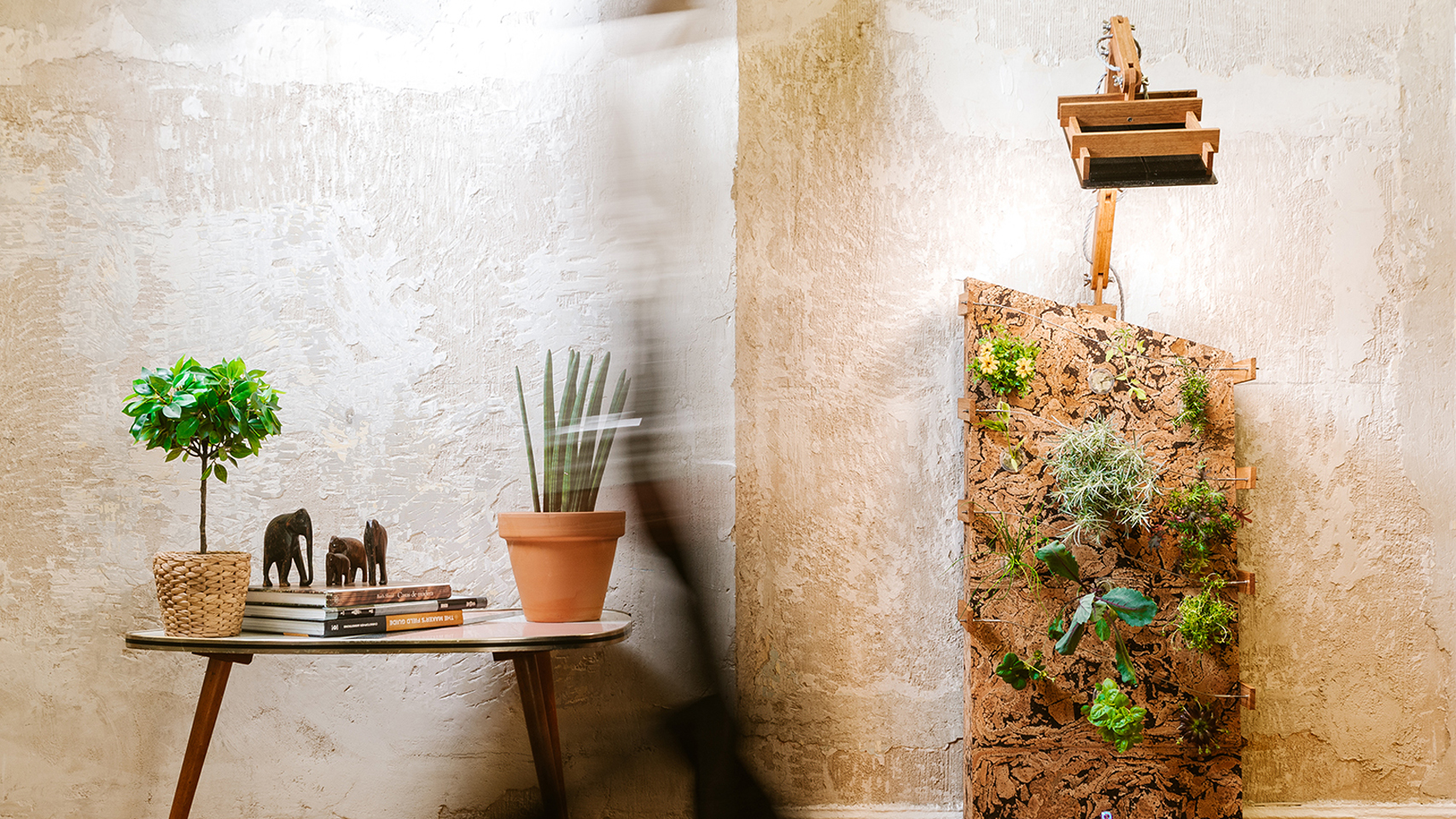 Nebbie utiliza un sistema de aeroponía de alta presión y se monitorizada con IoT.