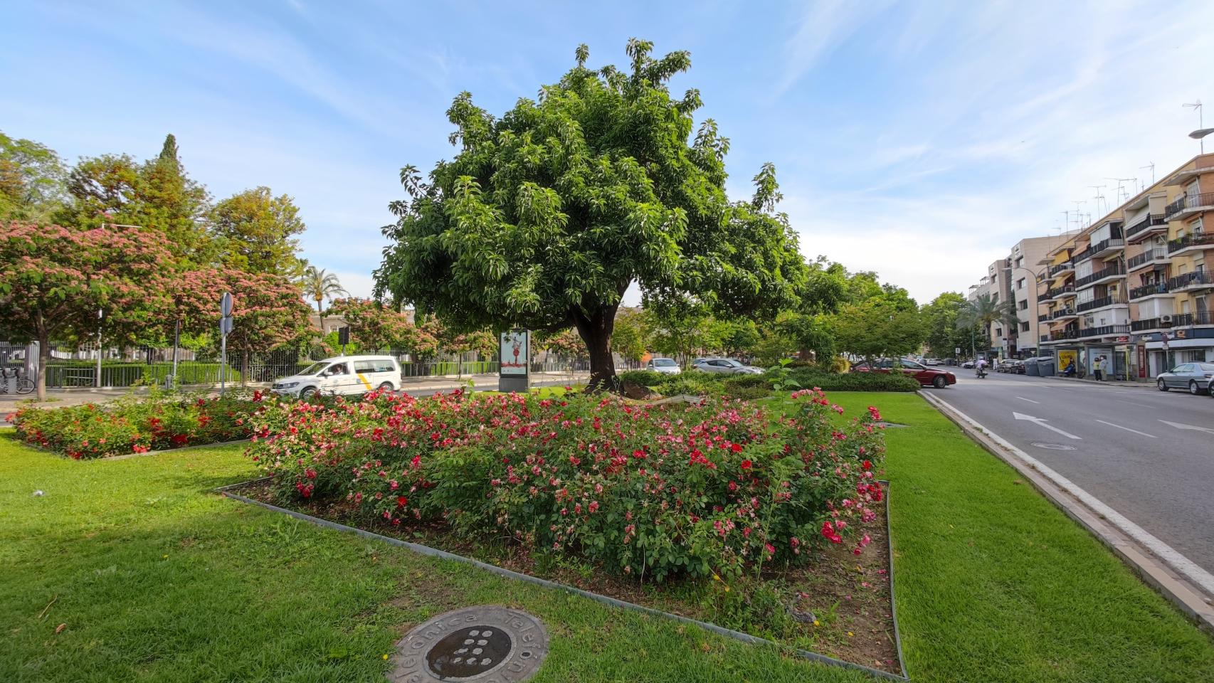 Probamos las cámaras del Xiaomi Mi 11 Ultra