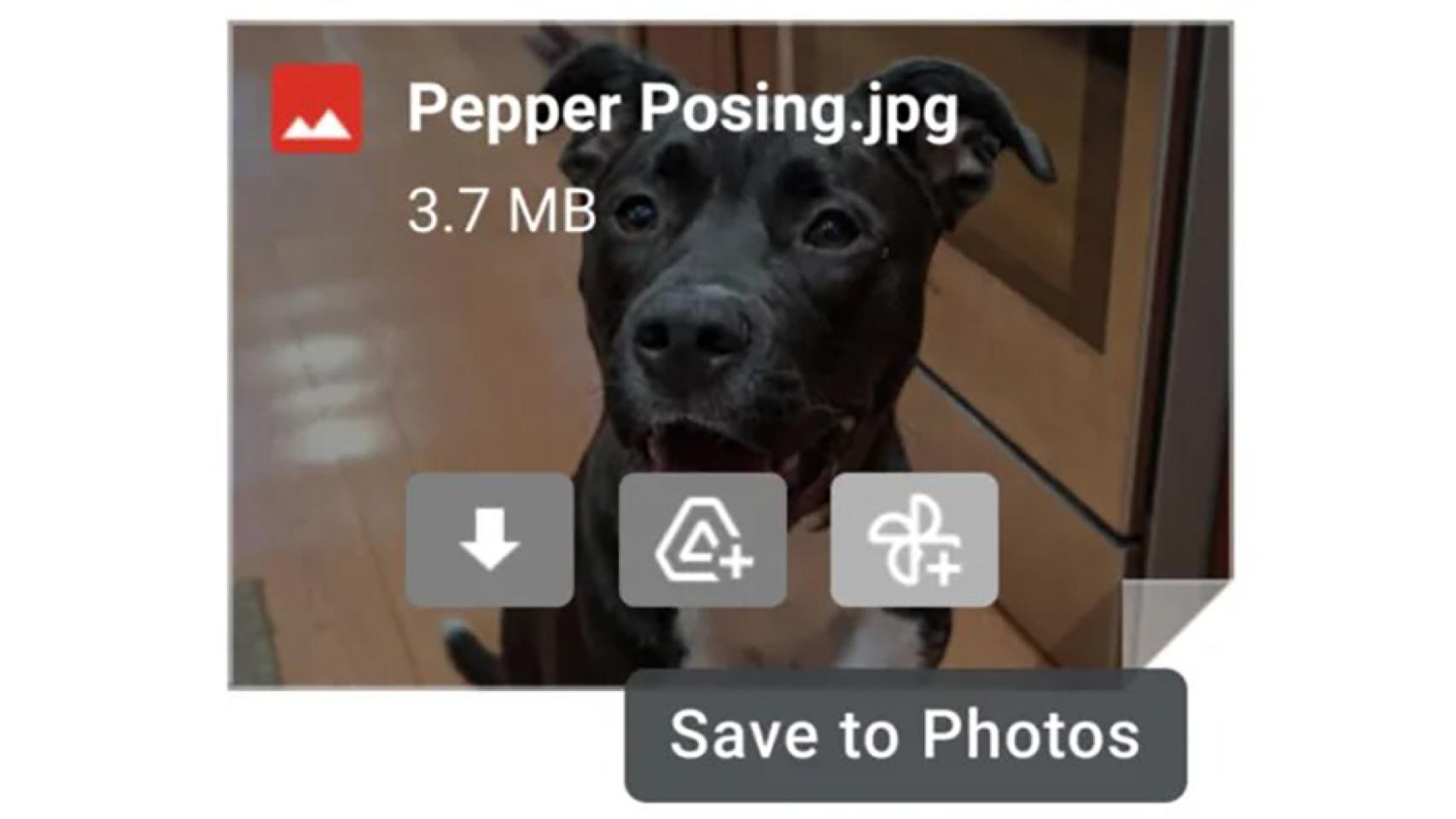 Opción de guardar fotos en Google Fotos.
