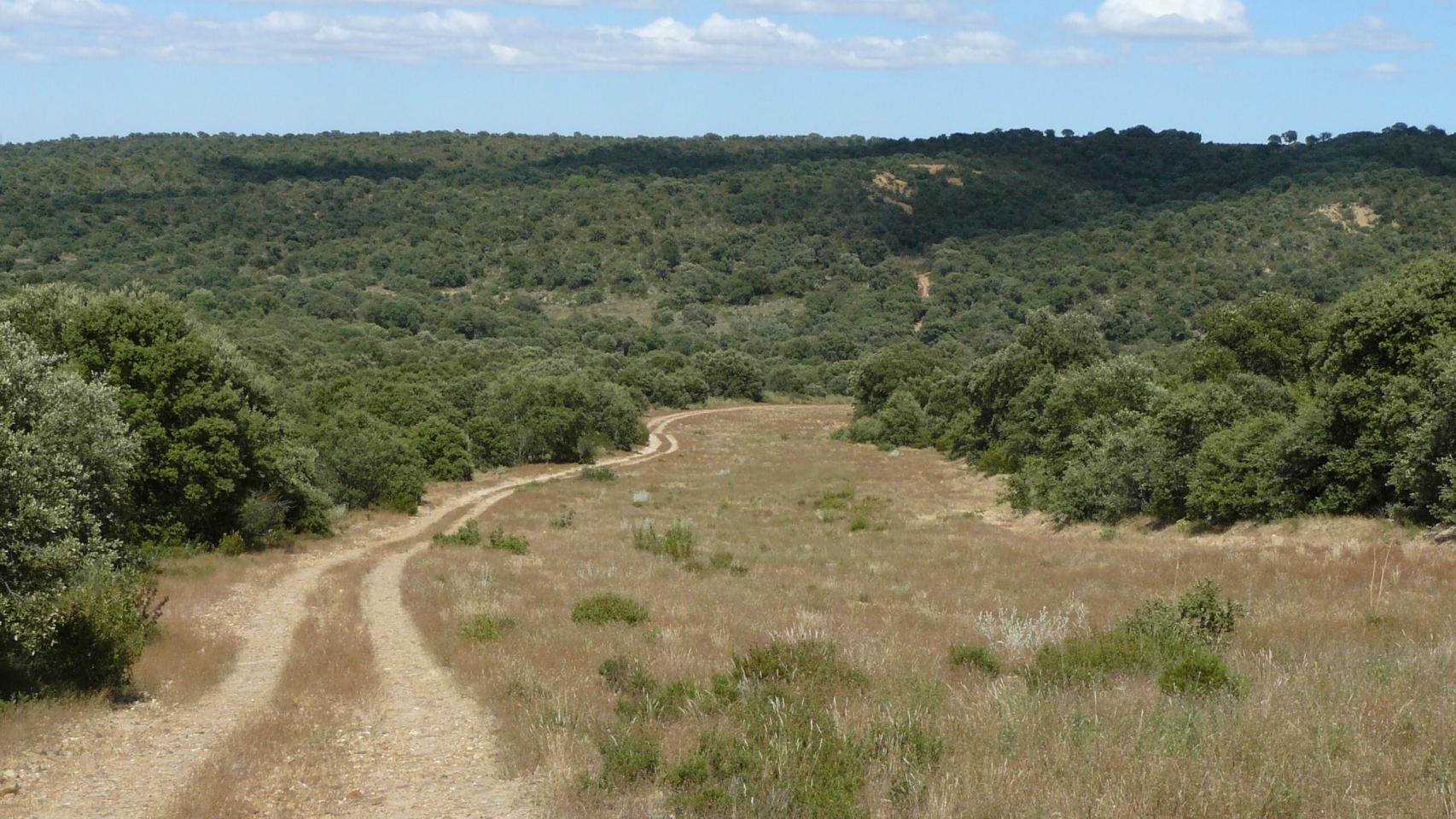 Castilla y León