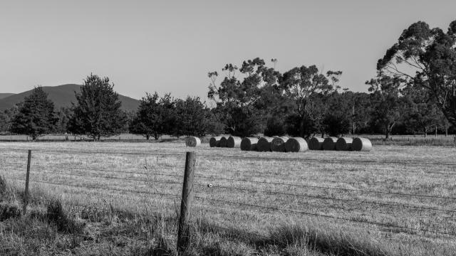 Mitchell Luo, Unsplash.