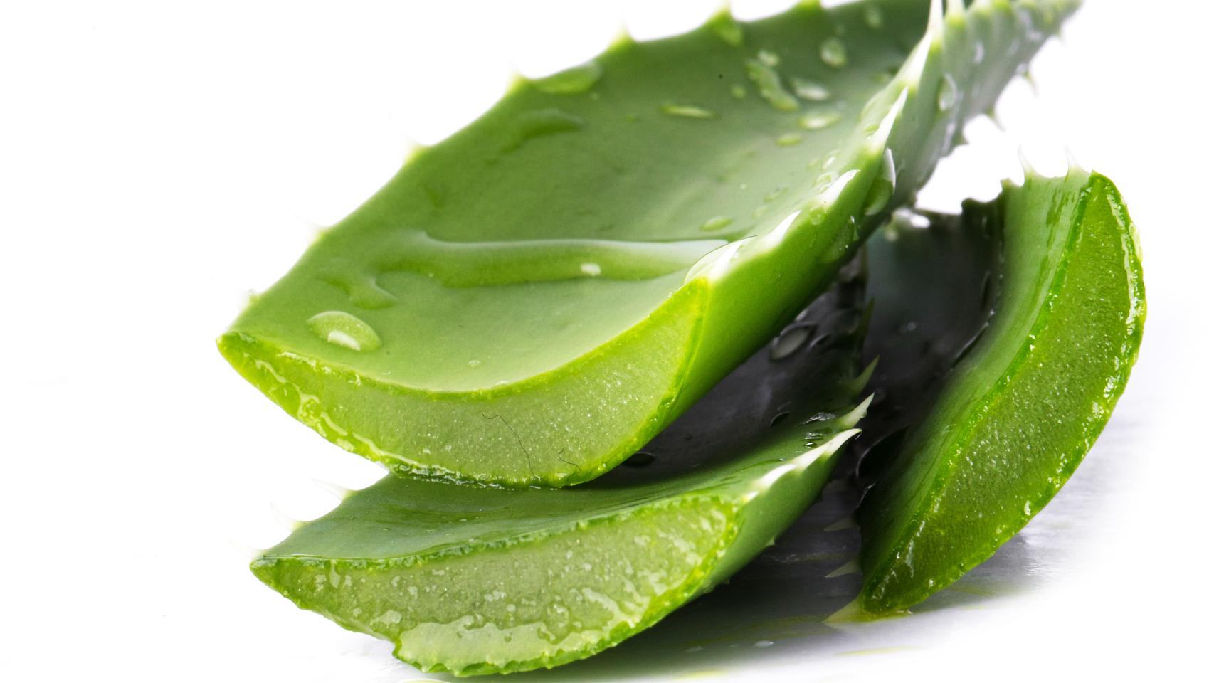 Cómo tomar aloe vera para ir al baño