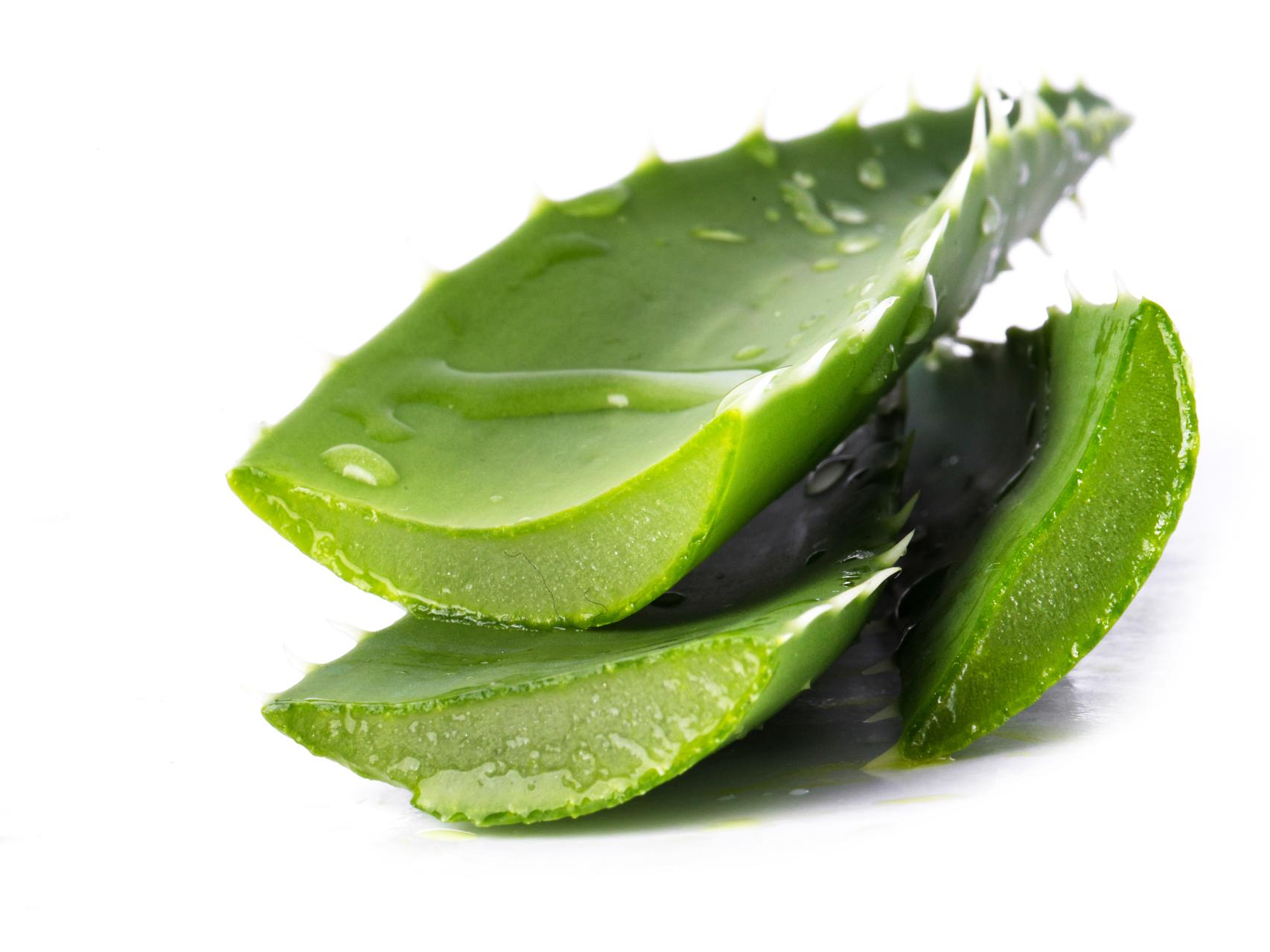 Cmo tomar aloe vera para ir al bao