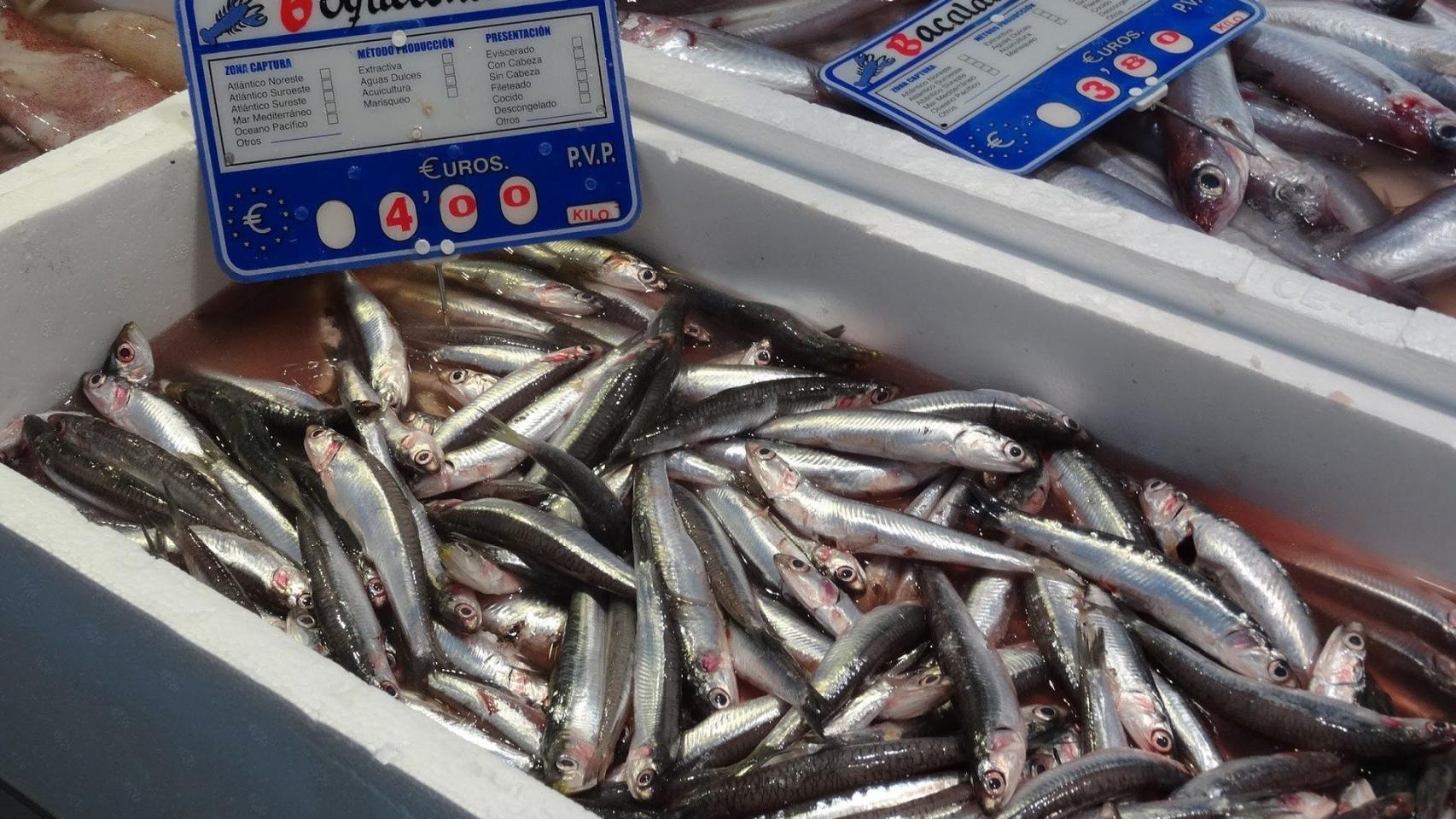Cómo hacer boquerones en vinagre paso a paso