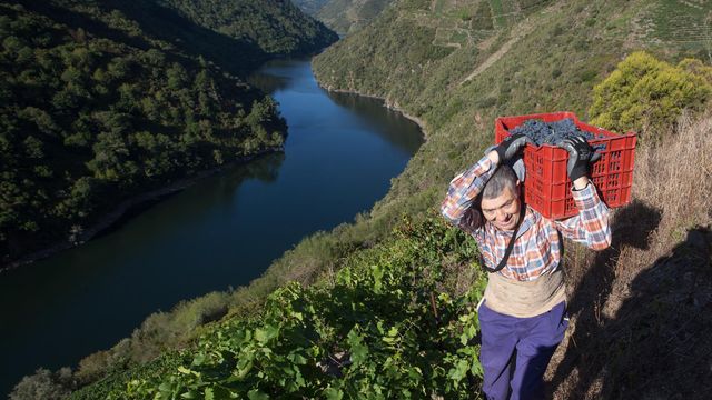 Aplazada la candidatura de la Ribeira Sacra a Patrimonio de la Humanidad