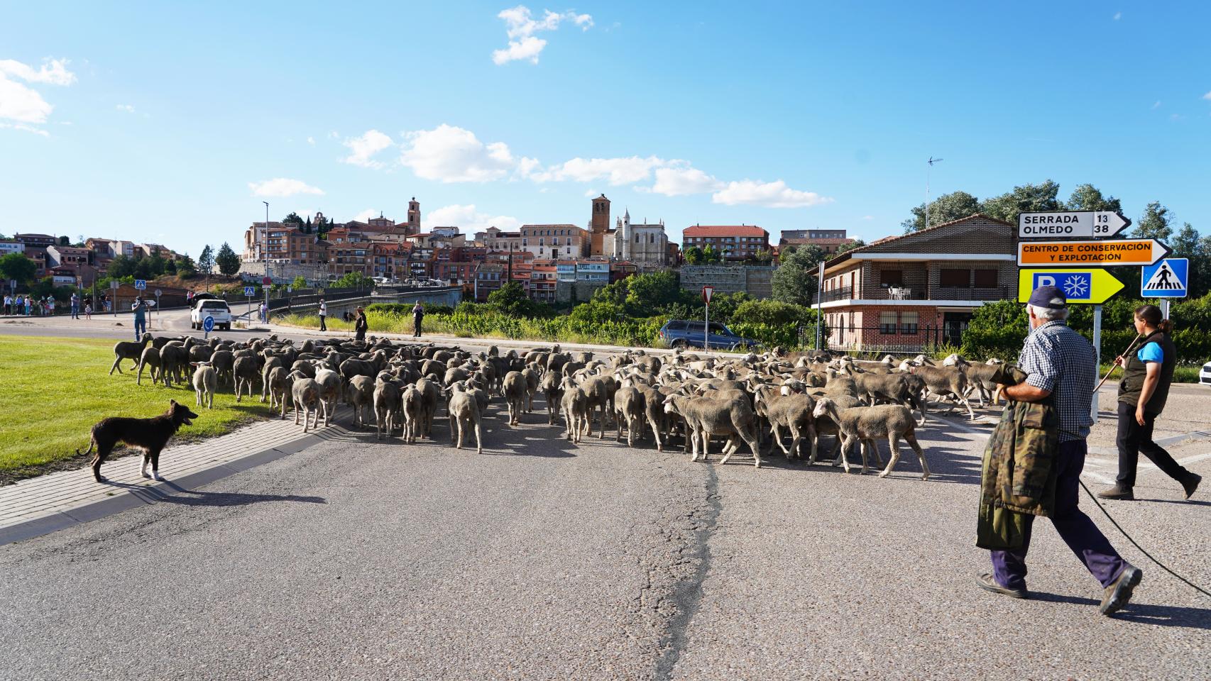 Castilla y León
