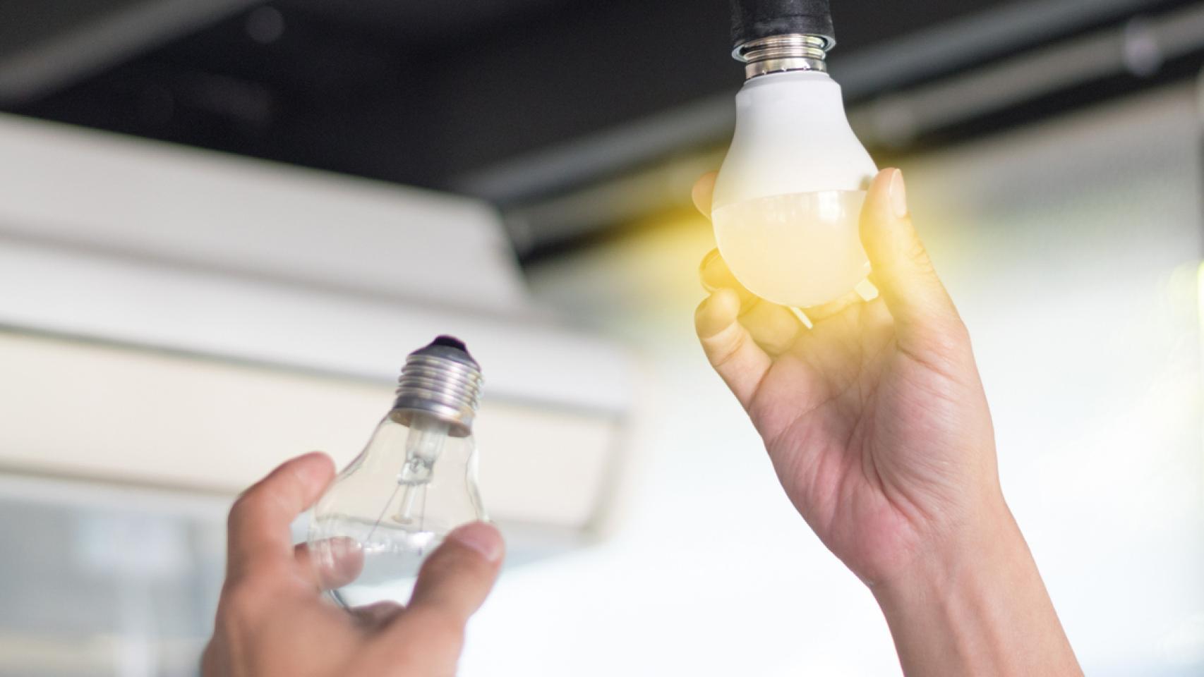 Estos son los productos que necesitas para ahorrar en la factura de la luz