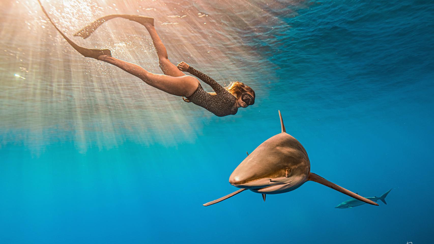 Gádor Muntaner nadando junto a un tiburón.