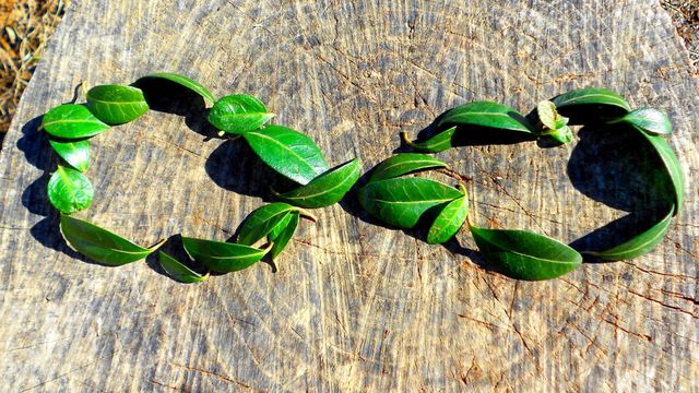 Día del Medioambiente: No nos olvidemos, también el ser humano es naturaleza
