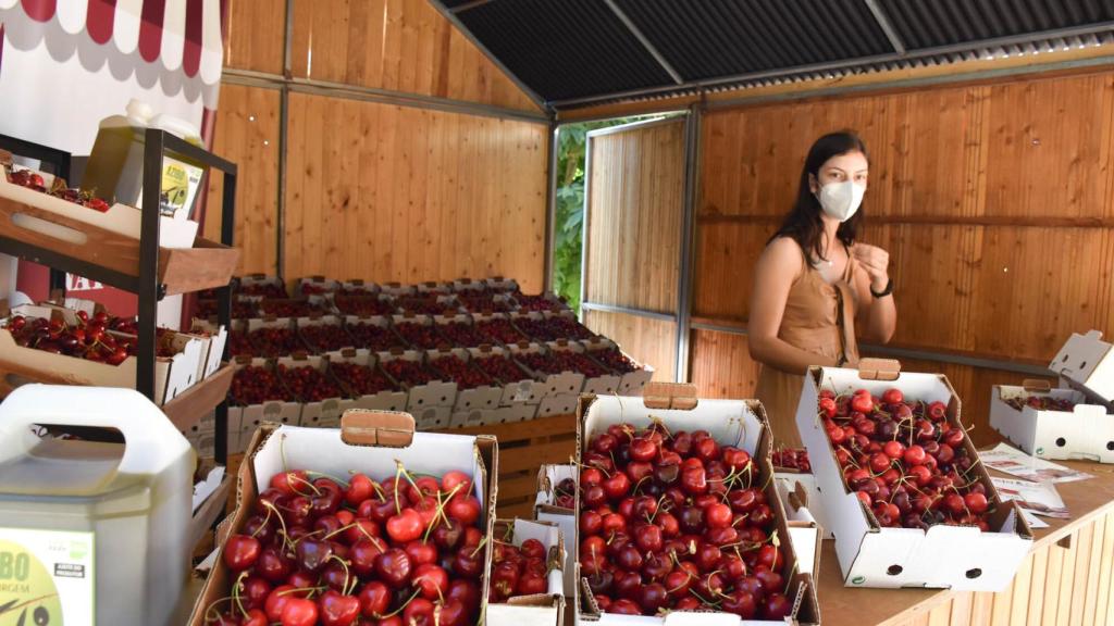 Fiesta de la Cereza de Alfândega da Fé 2021 23