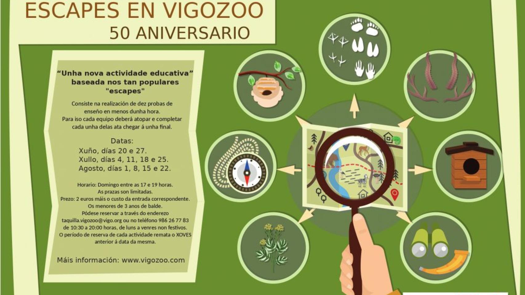 Cartel de las actividades de verano en VigoZoo