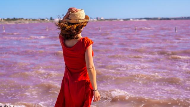 El color rojizo de sus aguas se debe  a los pigmentos que poseen una serie de bacterias.