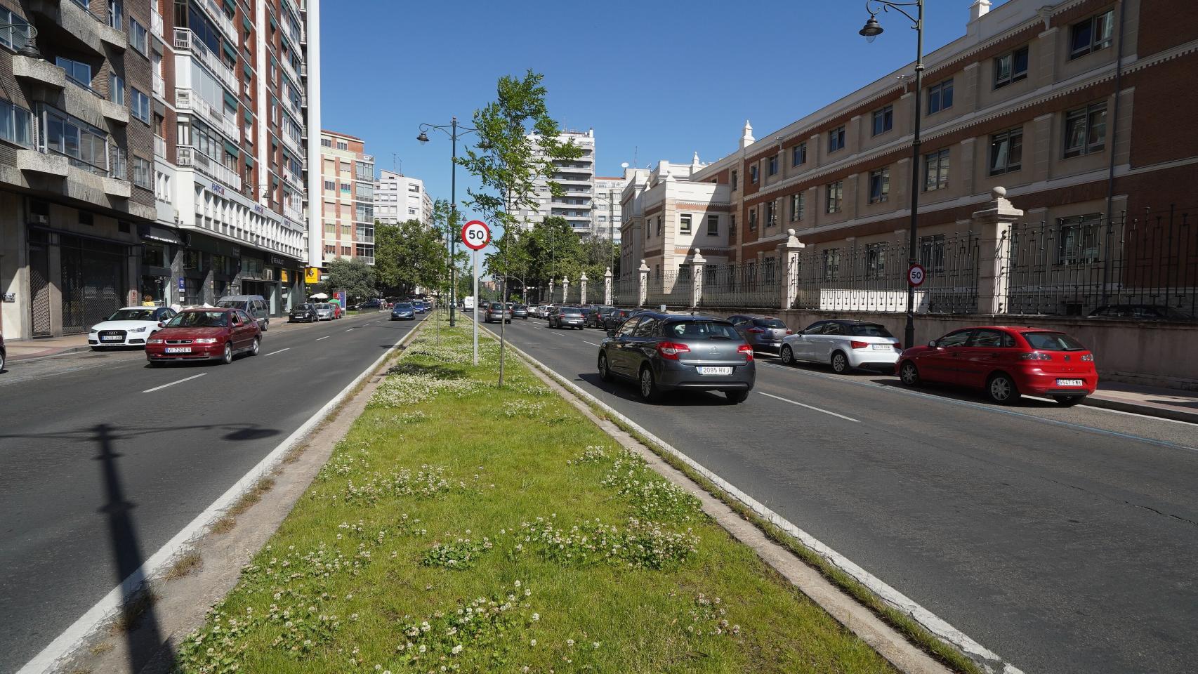 Castilla y León