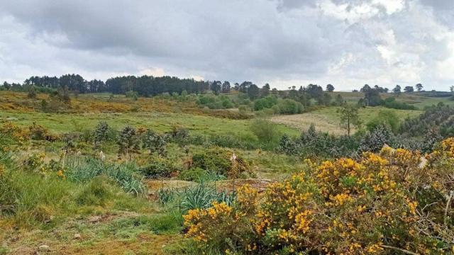 Monte do Gato, donde Greenalia y Galenergy proyectan seis parques eólicos