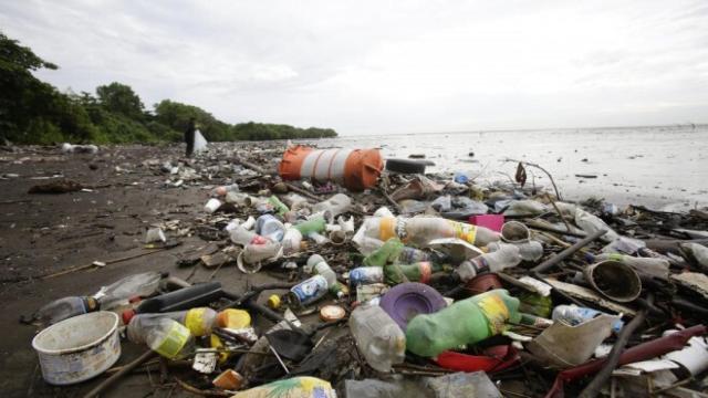 Basura acumulada en la orilla de una playa.