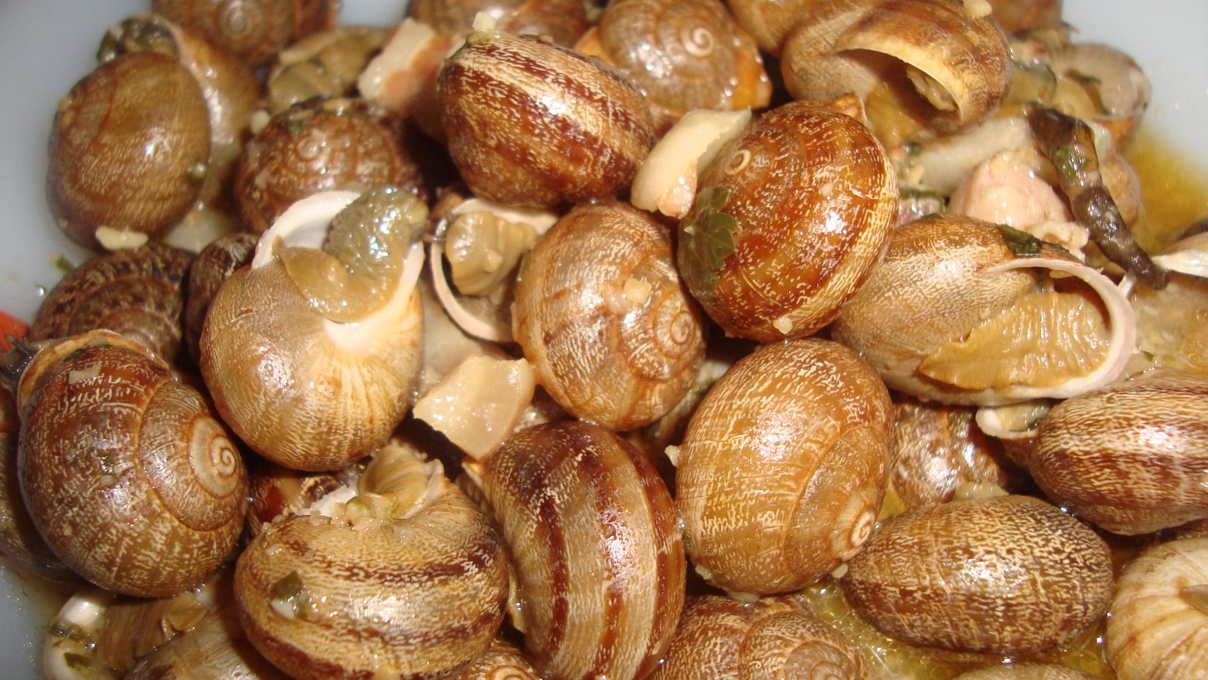 Cómo lavar y cocinar caracoles: receta de la abuela