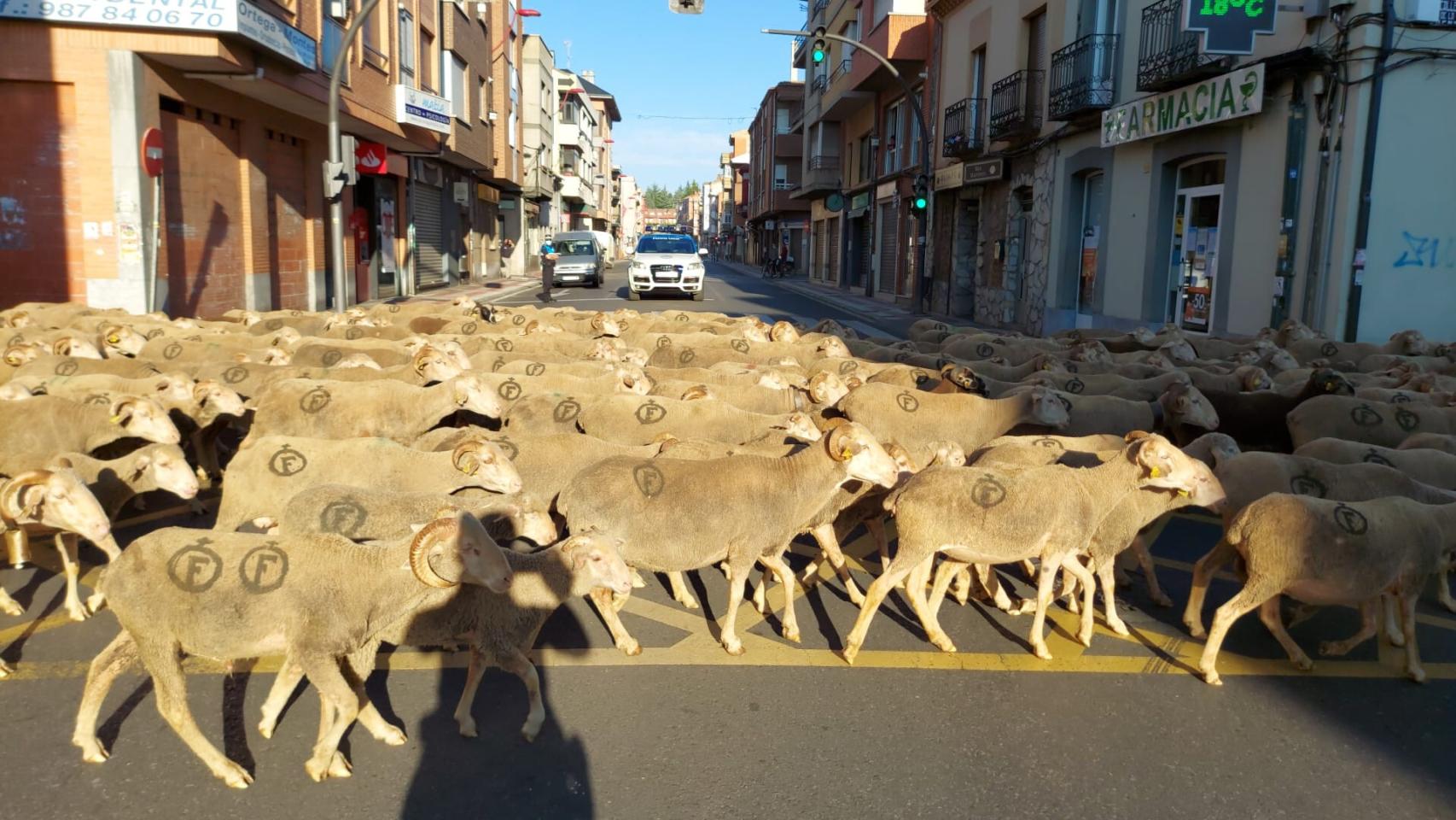 Castilla y León
