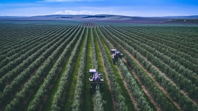 Tecnología y una gestión más eficiente del agua: cómo será la agricultura de 2050