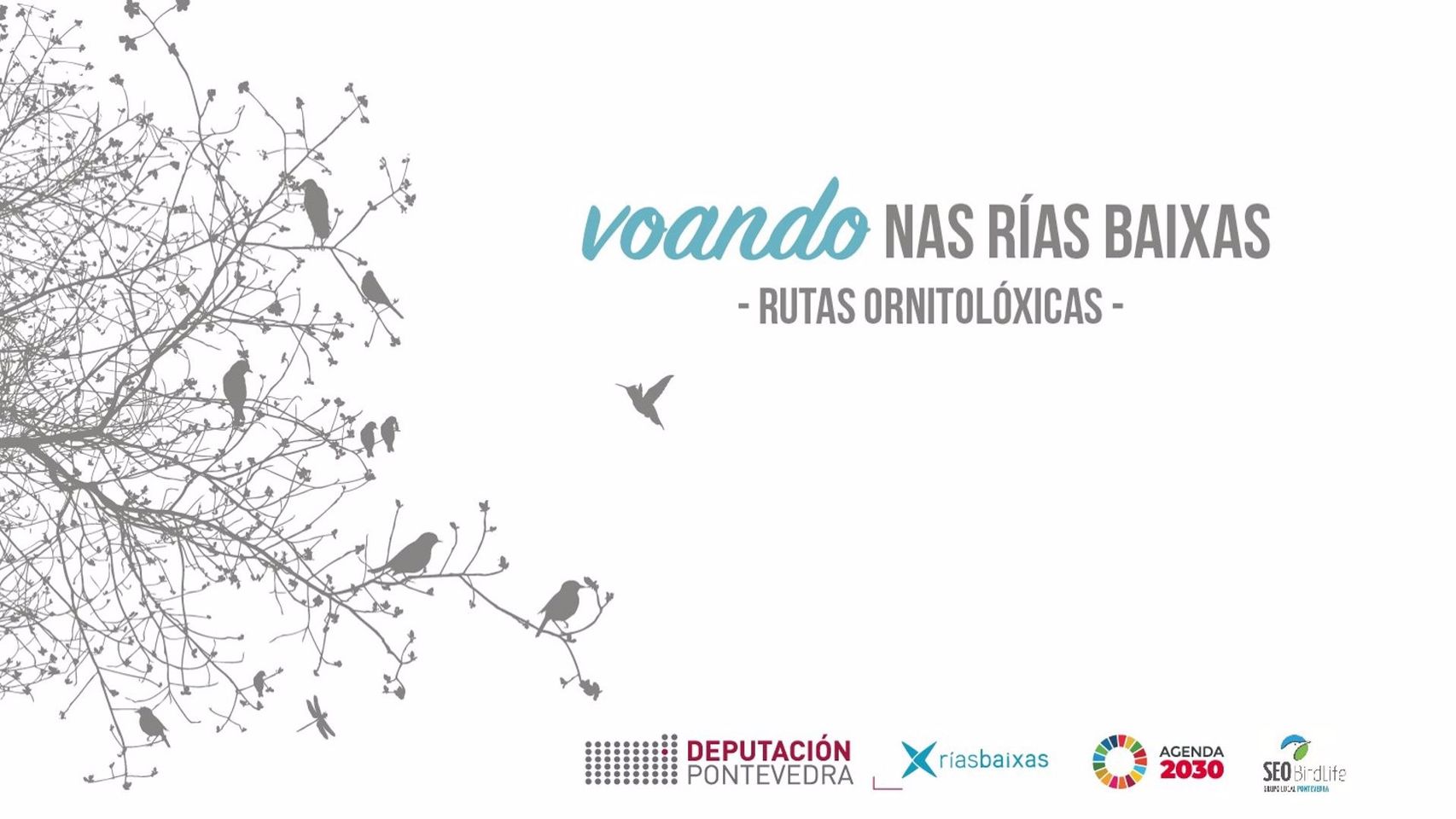 Cartel del programa ‘Voando nas Ríax Baixas’