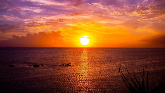 San Juan se celebra la noche que va del 23 al 24 de junio.