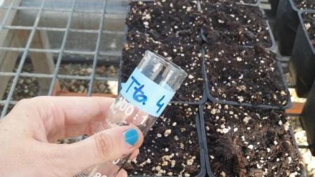 Una de las pruebas del proyecto.