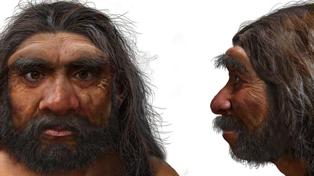 Retrato robot del 'homo Longi', el 'hombre dragón'.