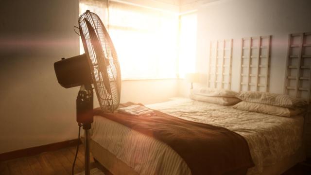 Los cuatro ventiladores de pie más silenciosos que puedes encontrar
