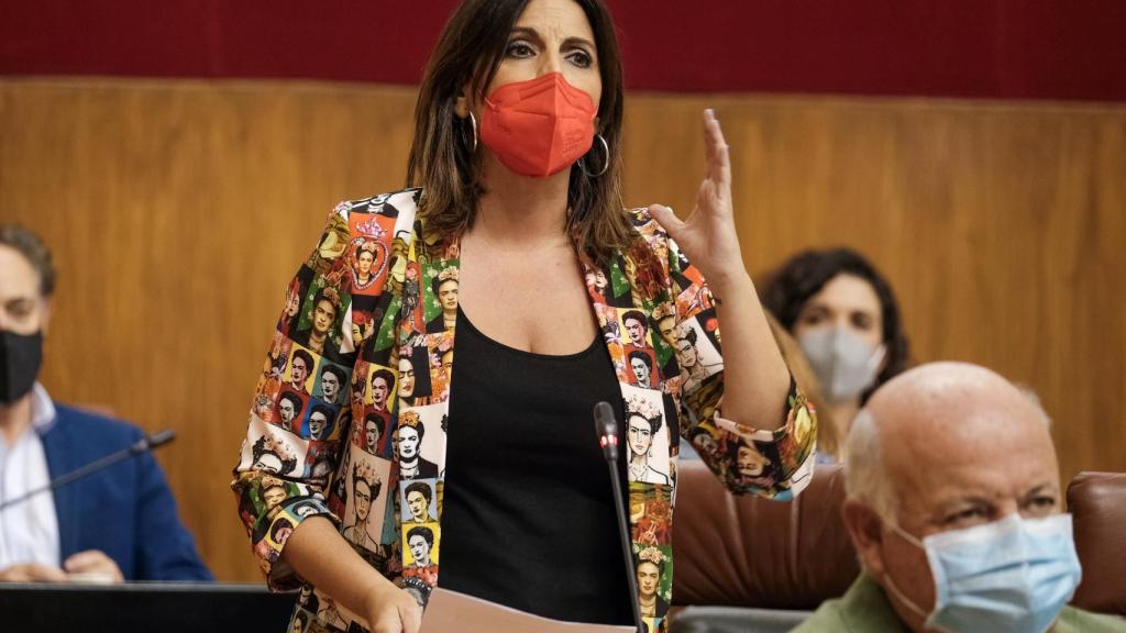La portavoz del grupo parlamentario socialista, Ángeles Férriz, en una imagen de archivo.