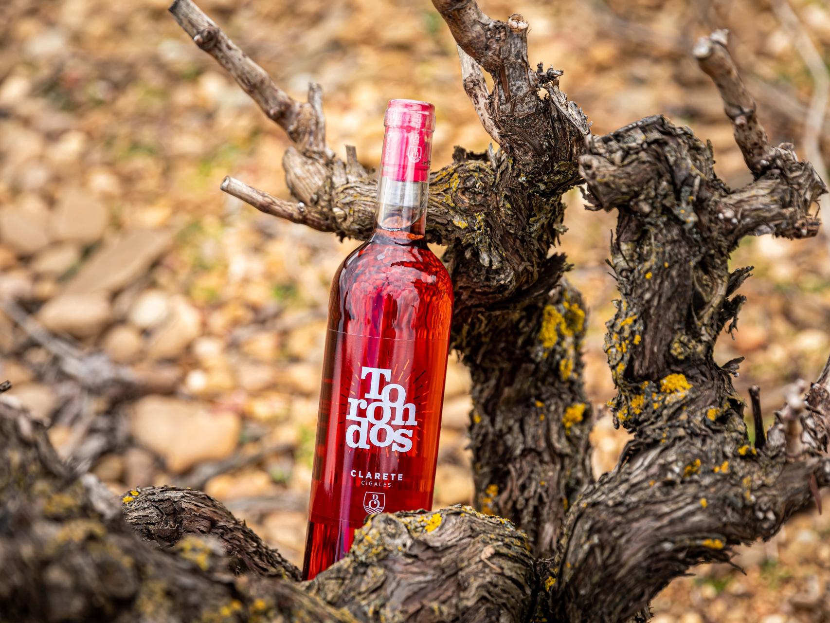 Torondos, el clarete de Bodega Cooperativa Cigales.