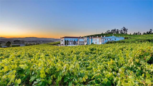 Bodegas Granbazán, Vilanova de Arousa (Pontevedra)