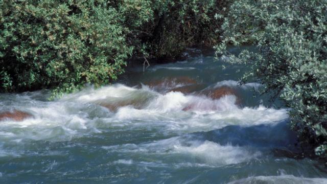 Canal de Isabel II: 170 años cuidando del agua