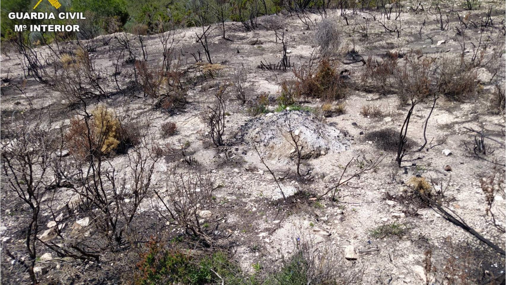El incendio habría sido provocado por una imprudencia en una partida rural de Tibi en abril.