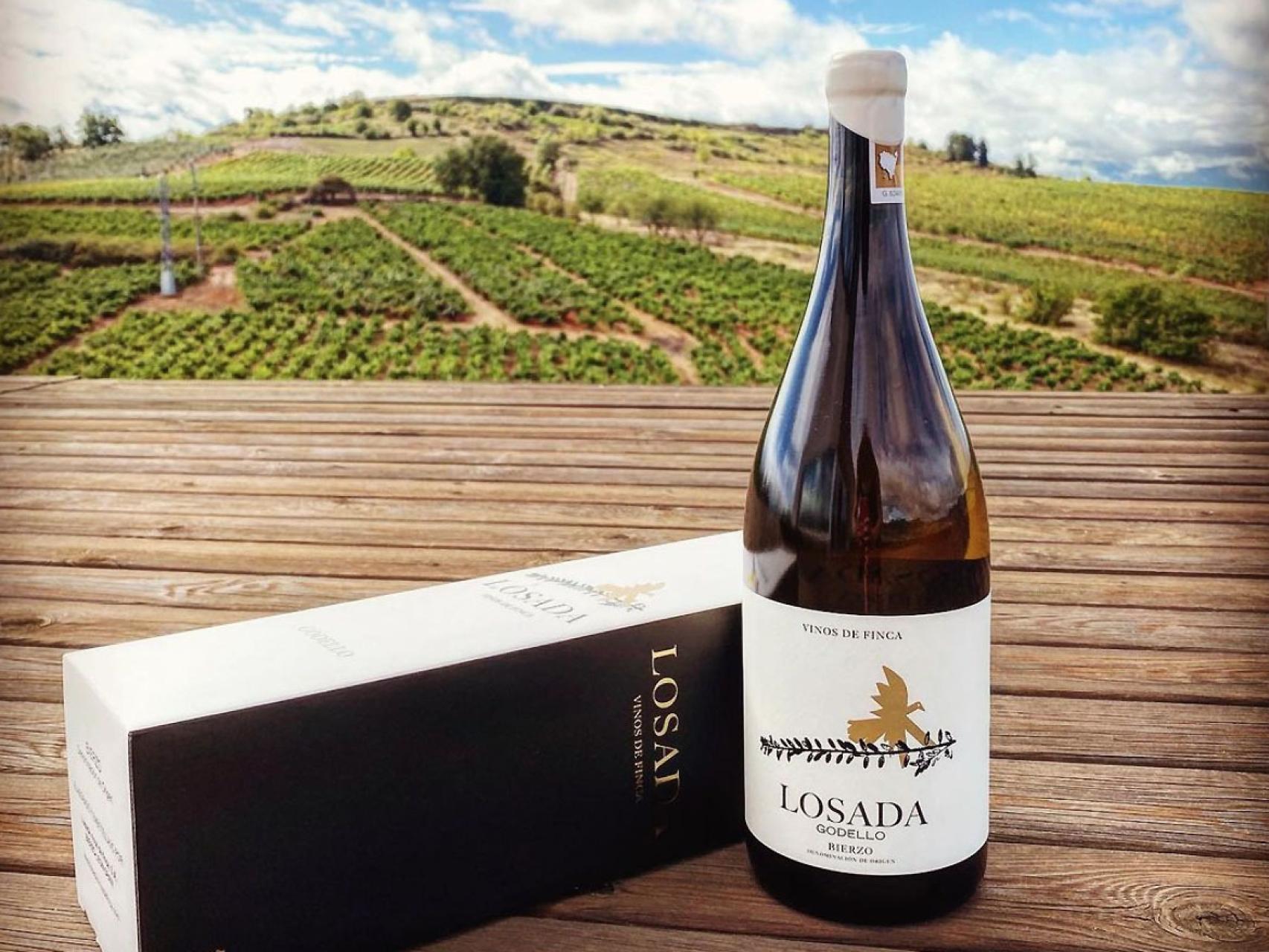 Losada Godello, el vino blanco del verano.