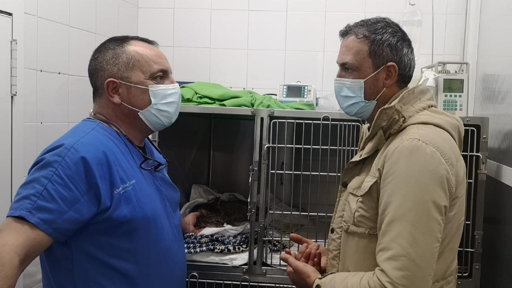 Pontevedra dispondrá de un censo de colonias felinas para identificar a sus responsables