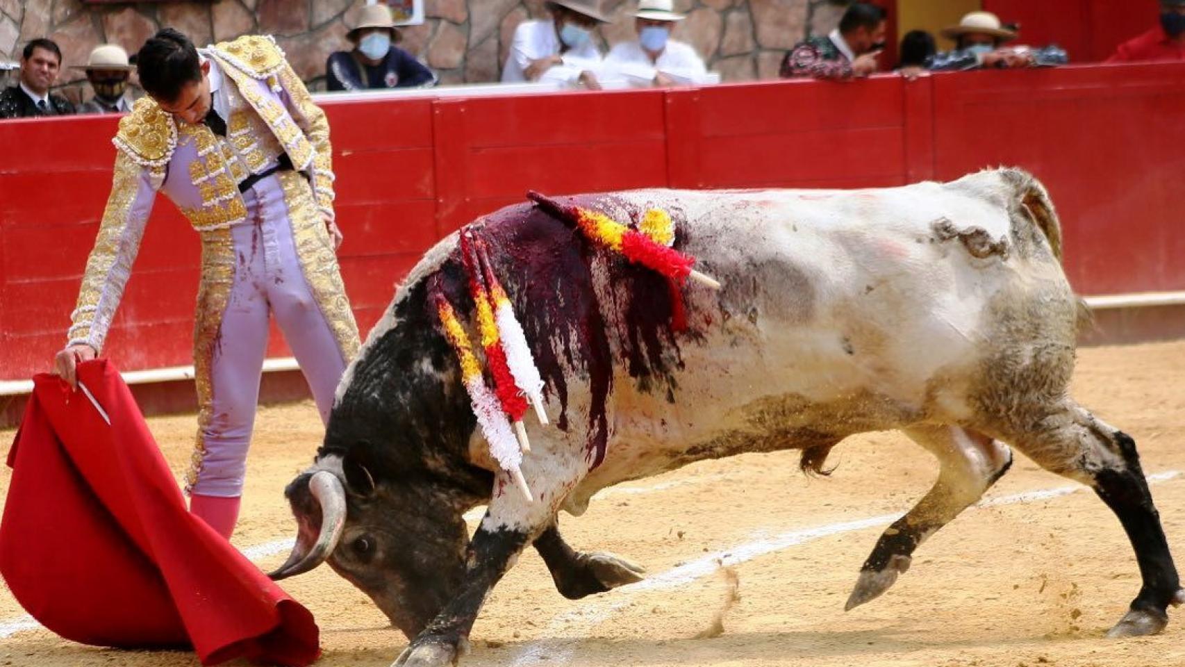 Castilla y León