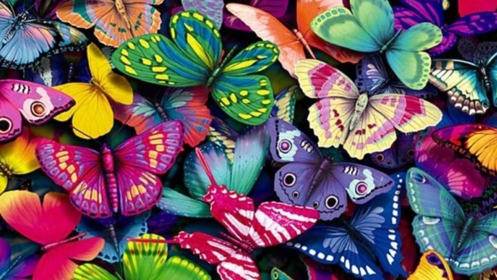 Variedad de mariposas