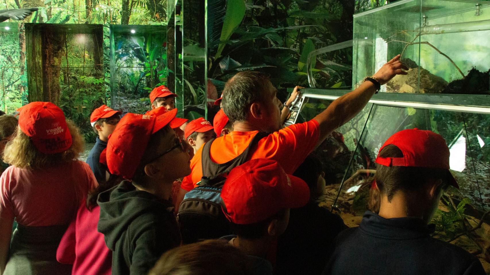 Jóvenes en un campamento en VigoZoo.