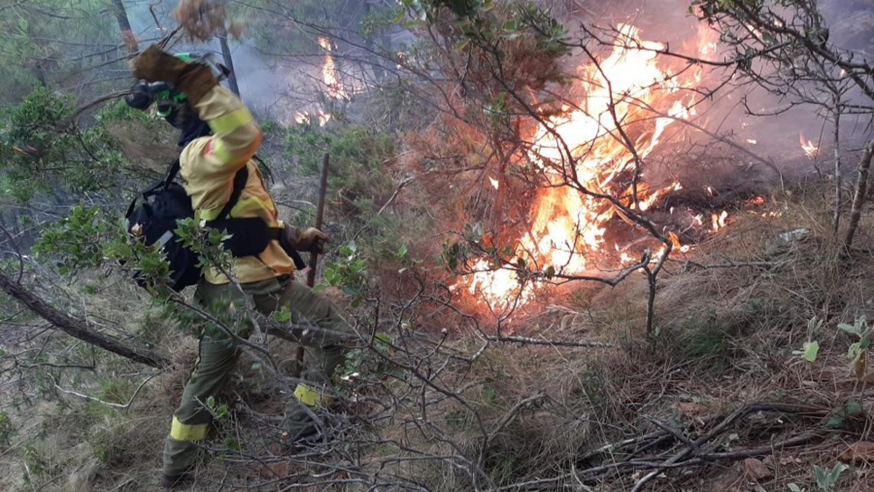 Imágenes del incendio forestal en un paraje de Jubrique (Málaga).