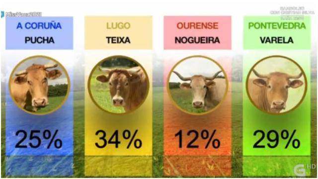 Certamen Miss Vaca 2021.