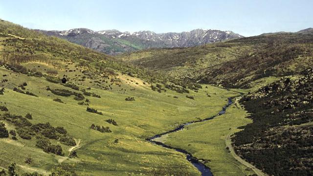 Foto: Ecologistas en Acción de Guadalajara
