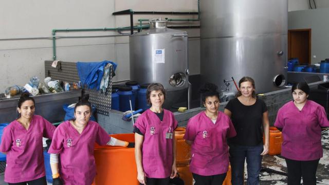 Parte do equipo de Mulleres Colleiteiras.