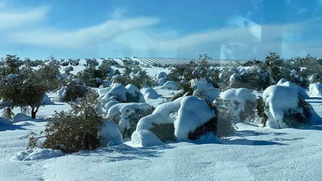 Las indemnizaciones agrícolas en Castilla-La Mancha han superado en seis meses el total de 2020