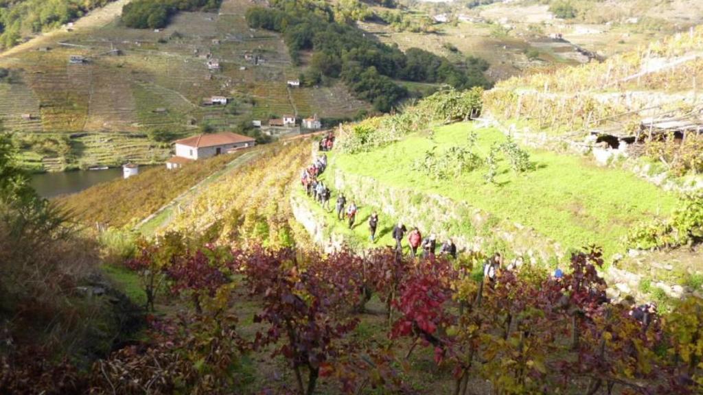 Ruta Ribeira Sacra do Miño.