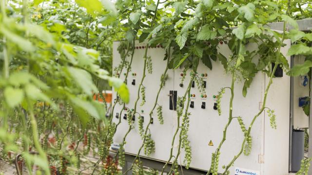 Sistema integrado de control de clima y riego para la optimización del uso de agua y fertilizantes.