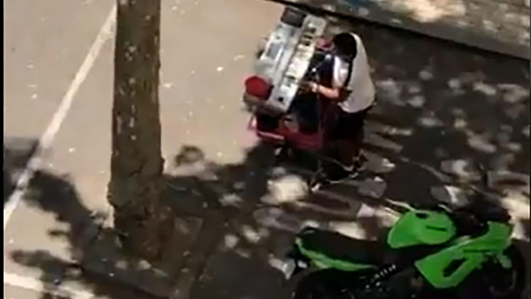 Video zamora