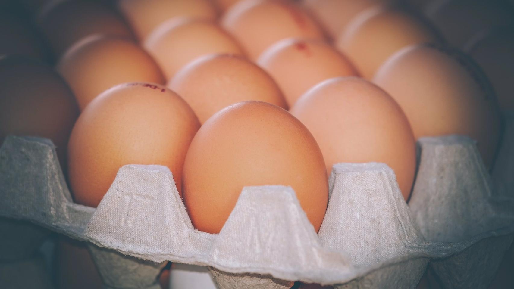 Huevos de gallina