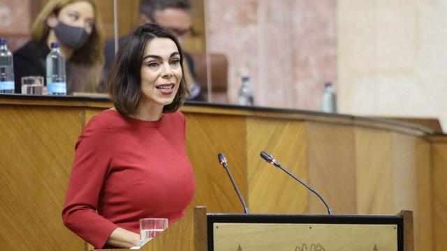 Teresa Pardo en la tribuna de oradores del Parlamento andaluz.