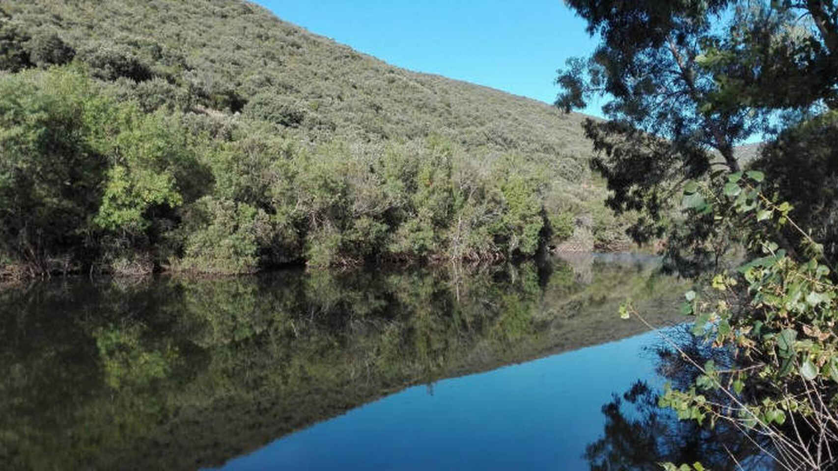 Tabla de la Yedra en Piedrabuena, Ciudad Real. Foto: EDCM